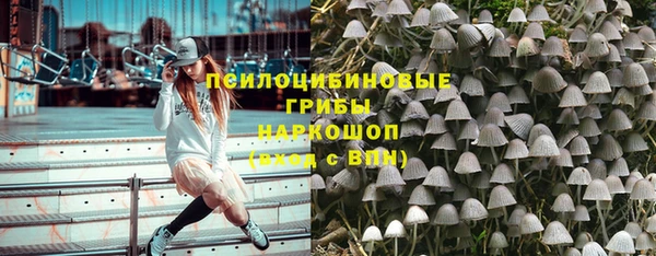 тгк Абинск