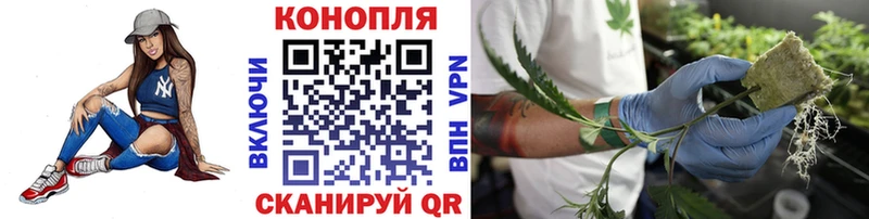МАРИХУАНА конопля  Нариманов 
